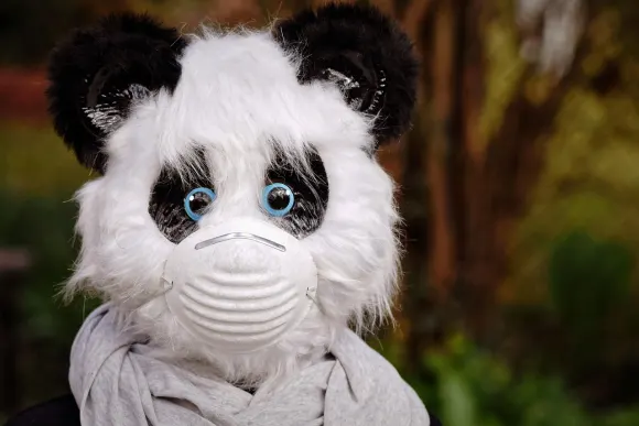 SpinShake Kasino Sokongan